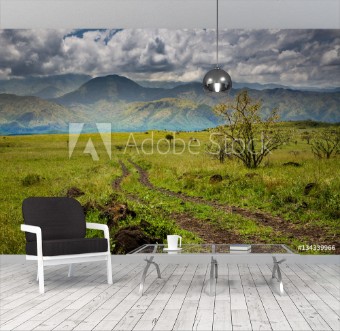 Picture of Nechisar National Park Arba Minch Ethiopia